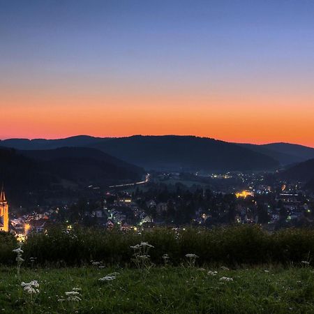 Drei Tannen - Wohnung 12 - Apartmenthaus, Titisee, Nahe Badeparadies Luaran gambar