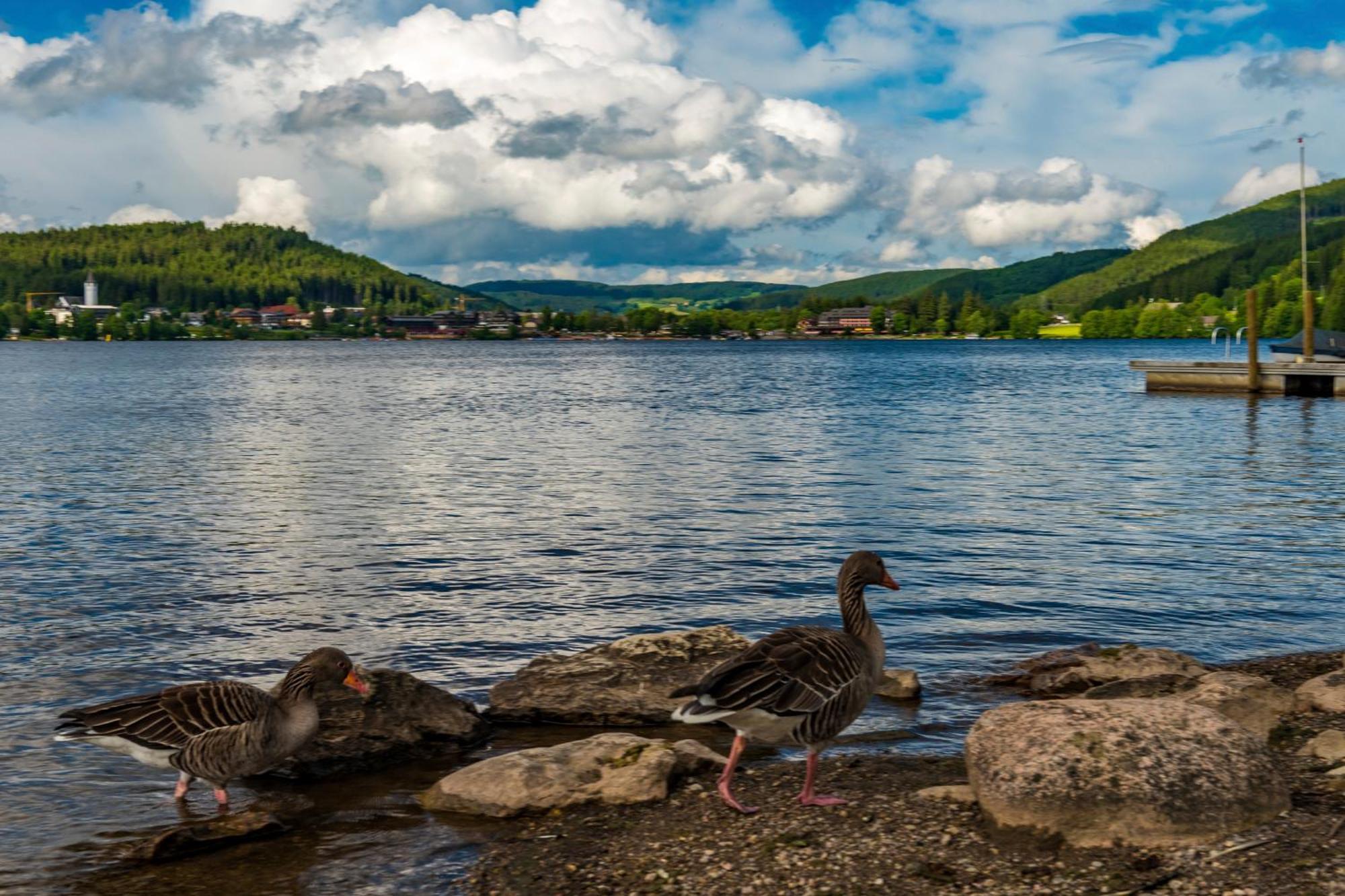 Drei Tannen - Wohnung 12 - Apartmenthaus, Titisee, Nahe Badeparadies Luaran gambar
