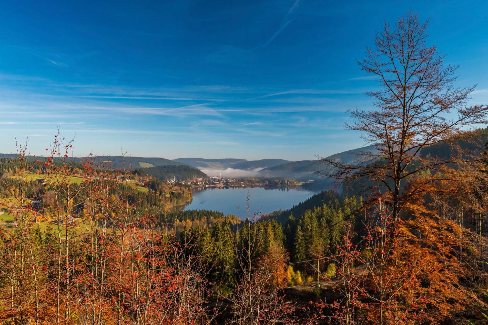 Drei Tannen - Wohnung 12 - Apartmenthaus, Titisee, Nahe Badeparadies Luaran gambar
