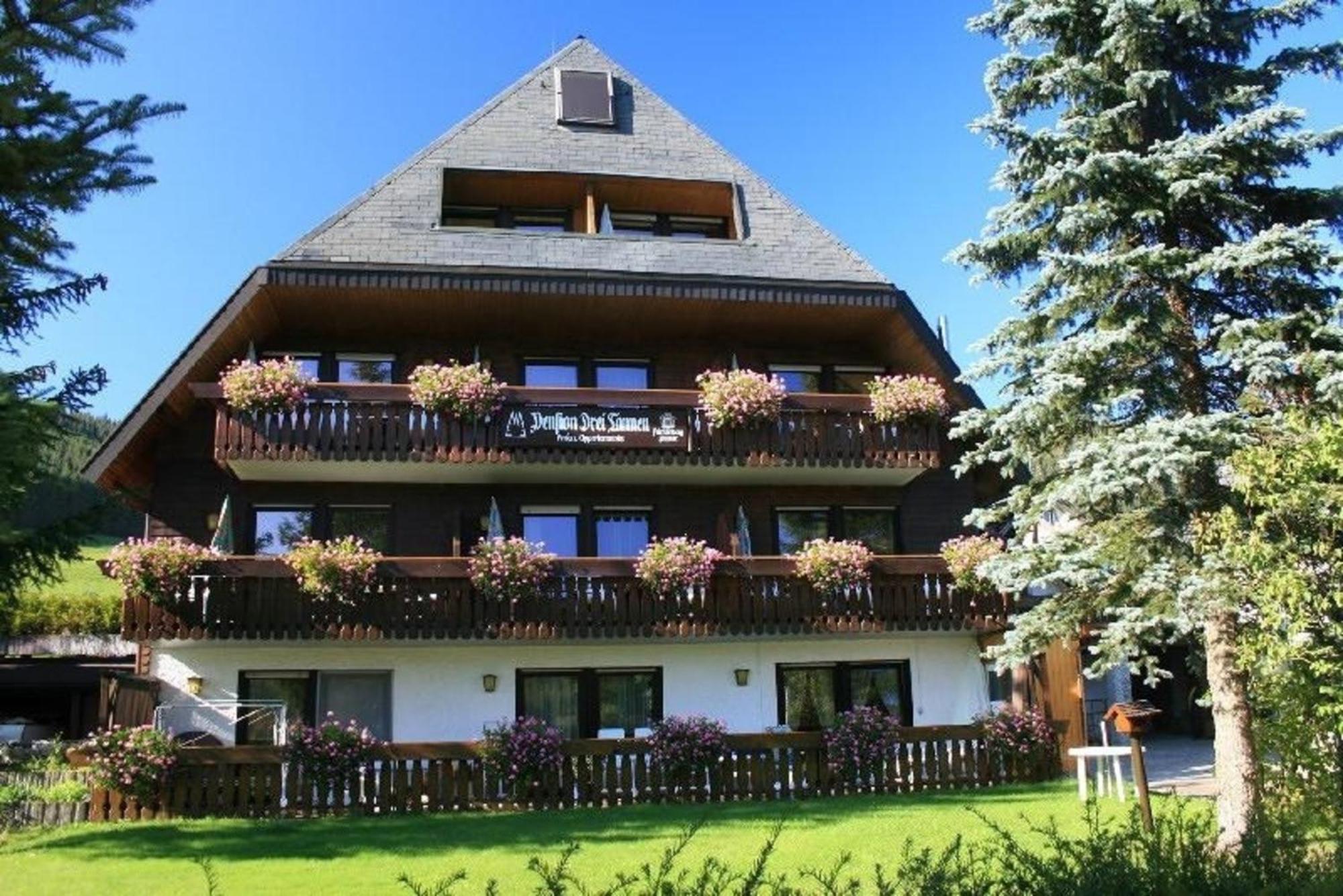 Drei Tannen - Wohnung 12 - Apartmenthaus, Titisee, Nahe Badeparadies Luaran gambar